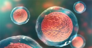 KHẢ NĂNG TỰ TÁI TẠO CỦA CÁC TẾ BÀO TRONG CƠ THỂ