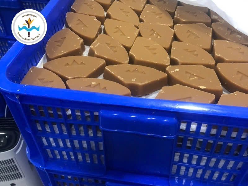 Đường Dương hỗ trợ phòng ngừa nghe kém, lãng tai ở người trẻ tuổi Đường Dương hỗ trợ phòng ngừa nghe kém, lãng tai ở người trẻ tuổi